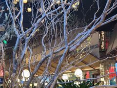 -桂满陇·海市蜃楼·黑金(国金店)