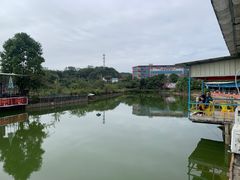 -荔枝红五号农庄