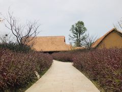 -良渚古城遗址公园