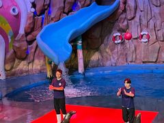 -烟台海昌鲸鲨海洋公园