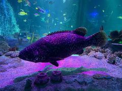 -沈阳海洋探索中心