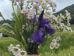 -东钱湖旅游度假区