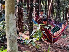 -铁山坪森林公园