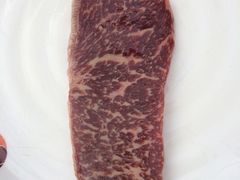 -满都拉碳火烤肉(文苑路店)