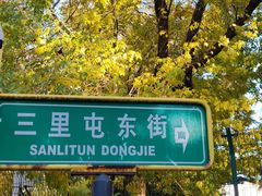 -三里屯东五街银杏大道