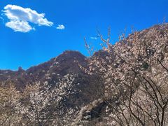 -北京凤凰岭