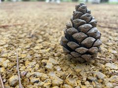 -韩麦大冷面(桂花街直营店)