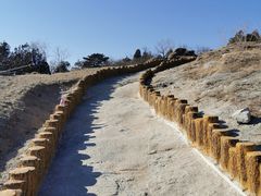 -白水寺森林公园
