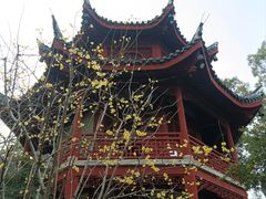 -汇龙潭