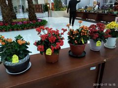 -南京财经大学（仙林校区）-图书馆