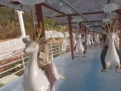 -盈香心动乐园