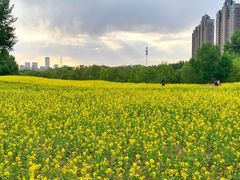 -长白岛森林公园