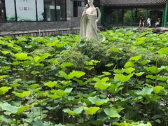 -珠海圆明新园
