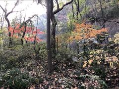 -杭州半山国家森林公园