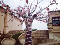 -万达影城(长沙婚庆公园中国巨幕店)