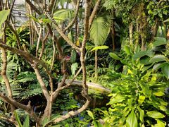 -北京植物园-展览温室