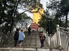 -大金鹰园