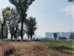 -汉长安城未央宫国家考古遗址公园