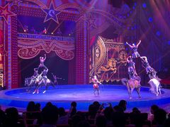 -珠海横琴长隆《卡卡虎奇遇记》