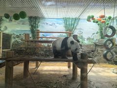 -西霞口神雕山野生动物世界