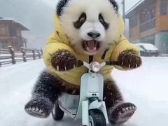 -赤宴·川菜(玉林店)