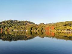 -深圳仙湖植物园