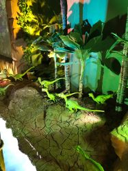 -恐龙探索乐园(磁器口店)