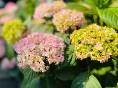 -常州古运河南大街文化旅游区-人民公园