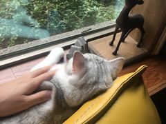 -咖法森林·咖啡  酒吧(天河店)