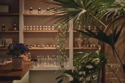 点击看大图 -芳香乐府SPA·五行芳疗