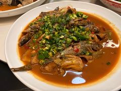 -全乐鱼馆·淳牌有机鱼直营店