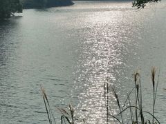 -红花湖景区