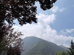 -少华山国家森林公园