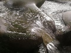 -成都市活水公园
