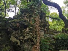 -天一阁博物院