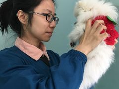 -东方动物医院·宠保定点·骨科·转诊中心(春城路·昆明站分院)
