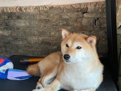 -About Bistro關於·泰式家庭料理