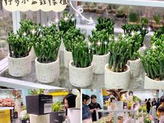 -KKV(深圳宏发大仟里店)