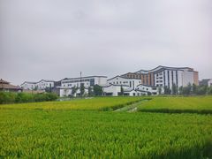 -乌村