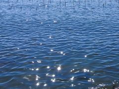 -西昌邛海湿地