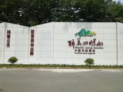 -四明山国家森林公园