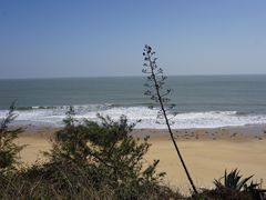 -漳州滨海火山岛自然生态风景区