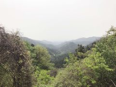 -木兰云雾山