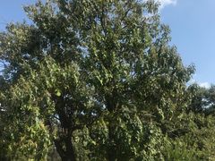 -嵩山少林文化旅游景区