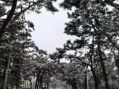 -东北大学(南湖校区)