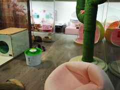 -宠物世家(仲盛世界商城店)