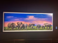 -罗红摄影艺术馆