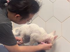 -瑞鹏宠物医院(大运分院)