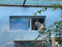 -青藏高原野生动物园