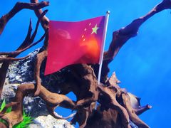 -烟台海昌鲸鲨海洋公园